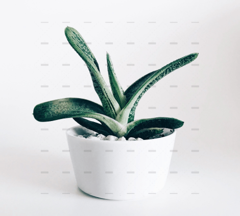 demo-attachment-63-stephanie-harvey-vHkj3fX9wCk-unsplash